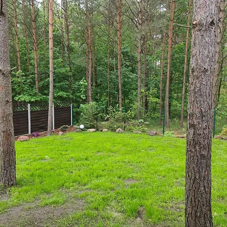 Skrzynia Holiday home *